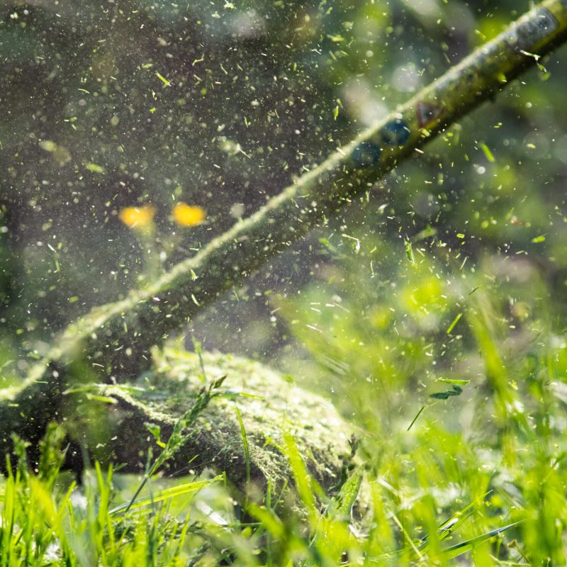 mowing the grass with a lawn mower, garden work concept background